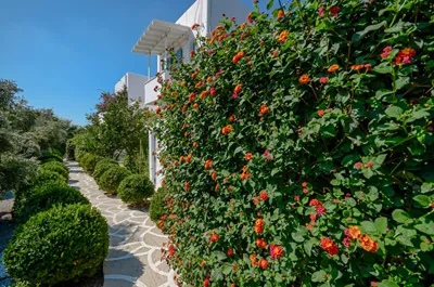 Valena Mare Naxos