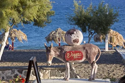 Veggera Hotel