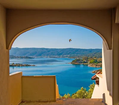 Thalassokipos Hotel Halkidiki