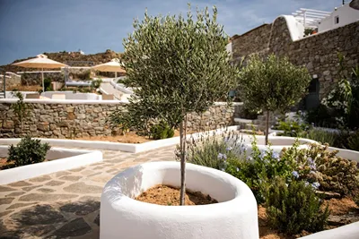 Artemoula's Studios Mykonos