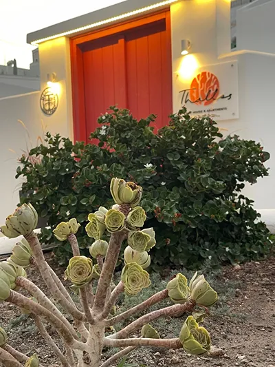 Thallos Cave House & Apartments