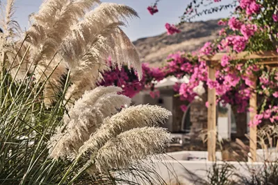 Dionysos Beach Resort & Villas