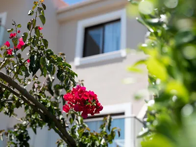 Eva Mare Hotel & Suites - Adults Only