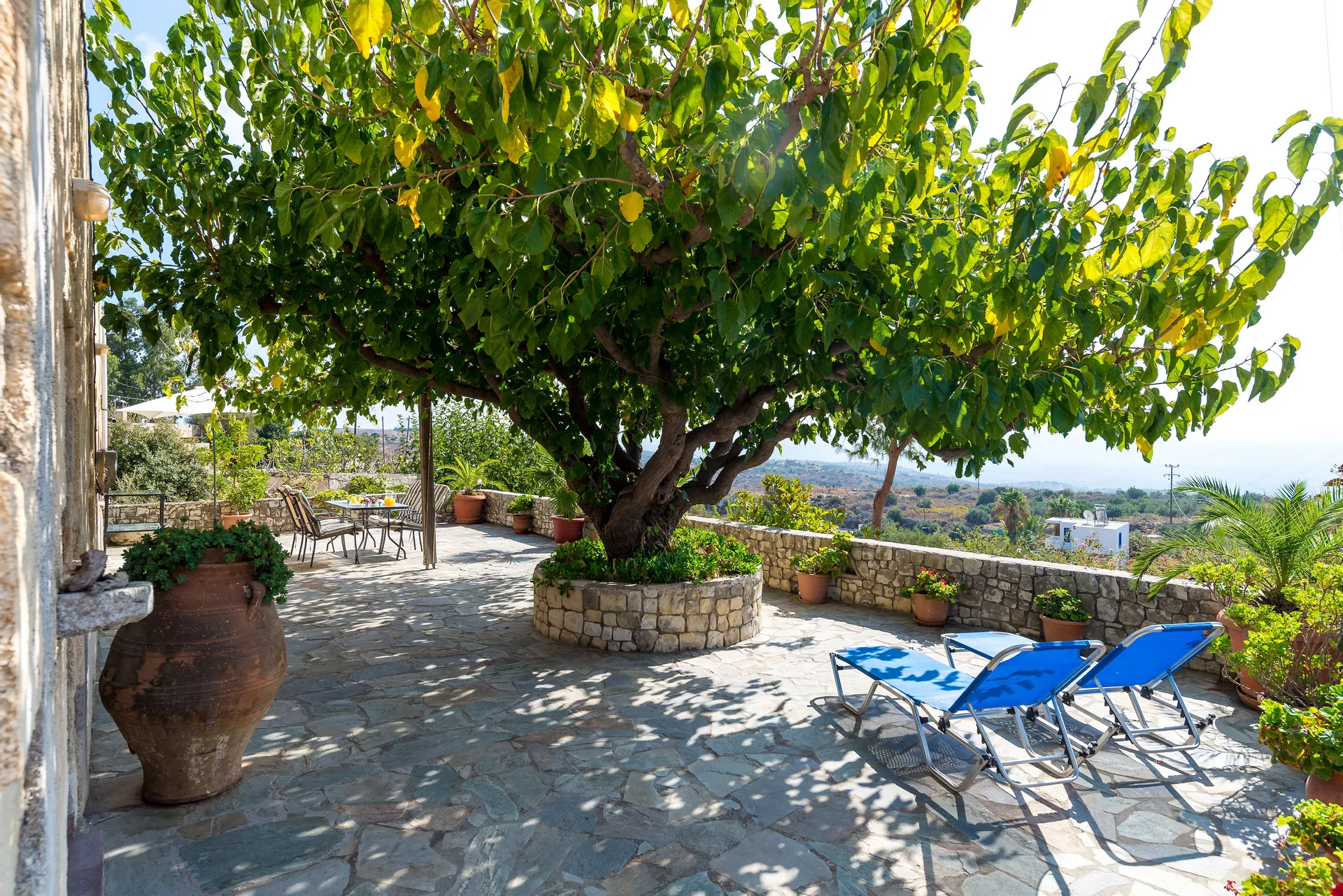 Pure Crete