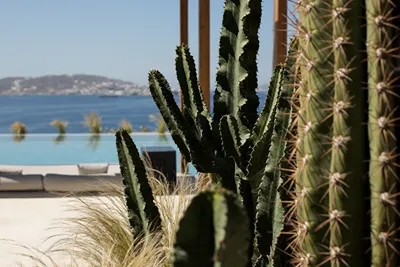 Rocabella Mykonos