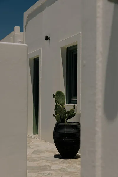 Agave Santorini Design Boutique Hotel