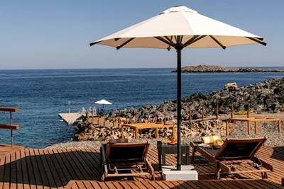 ISLA BROWN CHANIA