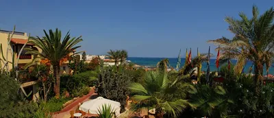 Cactus Beach Hotel