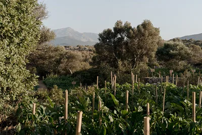 Village Heights Resort