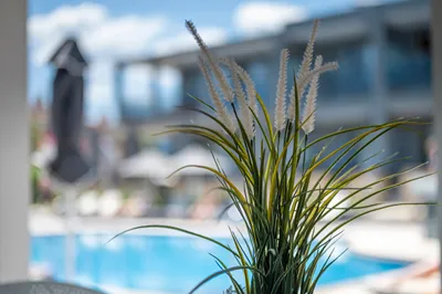 Dionysos Hotel & Studios Chalkidiki