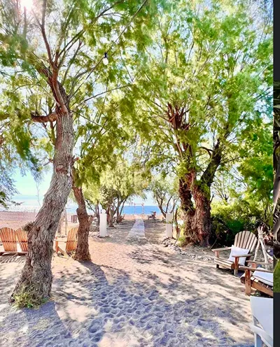 Eco Beach & Magic Garden Hotel