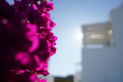 Athiri Santorini Family Friendly Hotel