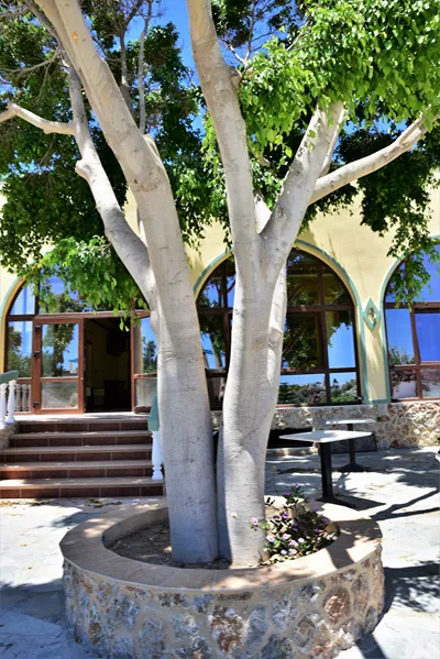 Chrysoula Hotel