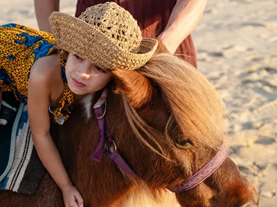 Grecotel Marine Palace & Aqua Park