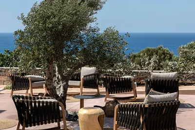 The Nest Resort