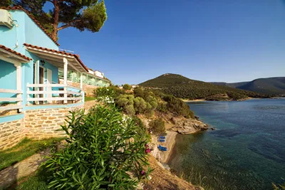 Venus Beach Hotel Bungalows