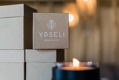 Ypseli Anafi's Hive