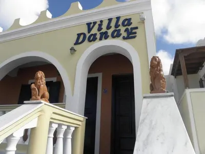 Danae Villa