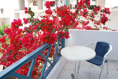 Villa Irida Crete