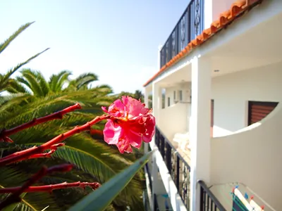 Bruskos Hotel & Suites