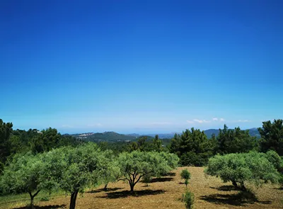Maistrali Hotel & Restaurant