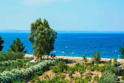 Coral Blue Beach
