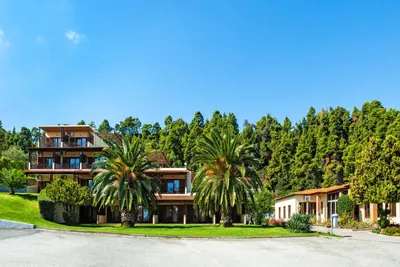 Palladium Hotel Halkidiki