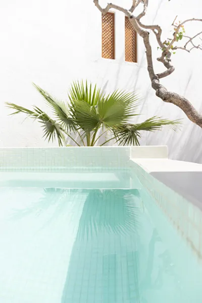 Cavo Bianco Santorini
