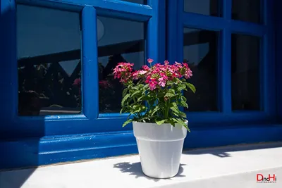 Roula Villa Santorini