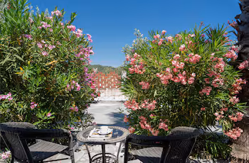 Palma Village Hotel by Greek Pride