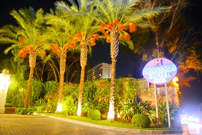 DIONYSOS HOTEL
