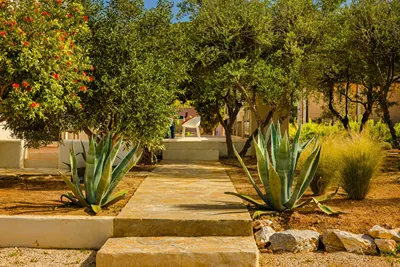 Casa Miel
