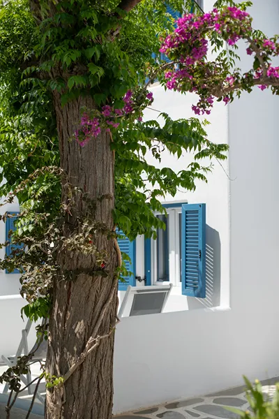 Acrogiali Beach Hotel Mykonos
