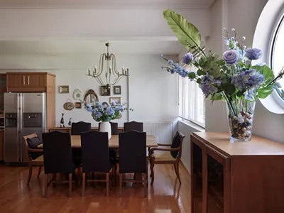 Evi's Voula Home