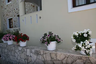Nikos Apartments Stalis