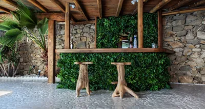 Zinas Mykonos Serviced Villas