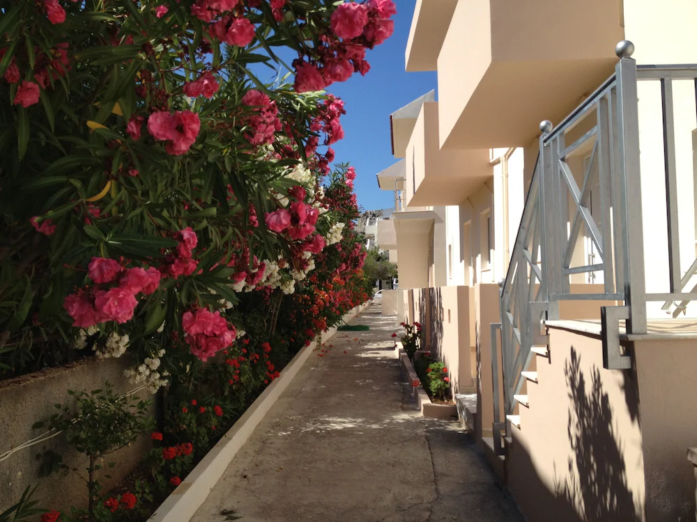 Amaryllis Beach Front Hotel