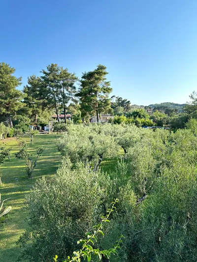 Seafront Villa Glaros