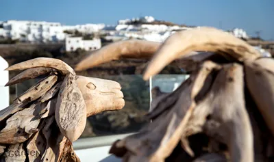 Legacy Suites Mykonos