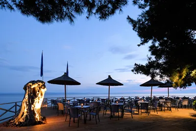 Blue Dolphin Hotel Chalkidiki
