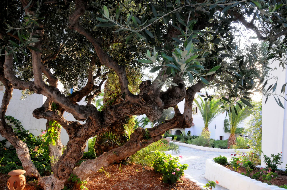 HERSONISSOS VILLAGE HOTEL and BUNGALOWS Hersotels Group