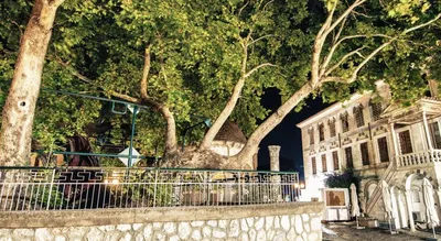 Kosta Palace Hotel