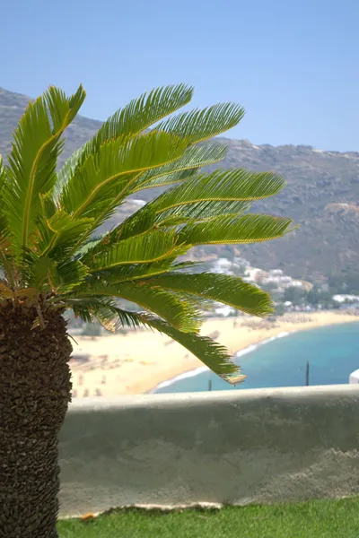 Levantes Hotel Ios