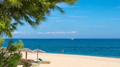 Blue Jasmine Hotel