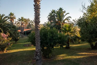 Palma Village Hotel by Greek Pride