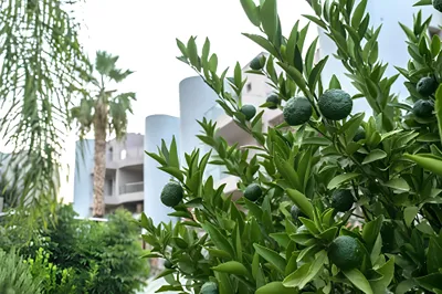 THE NOVERIAN Scenic Crete 5* Hilltop Villa Resort & Spa