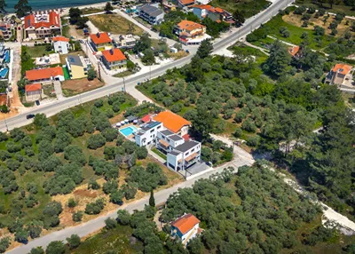 Olive Roots Thassos