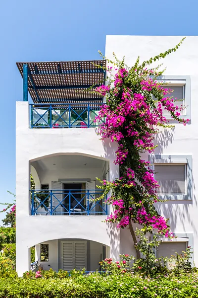 Evdokia Suites