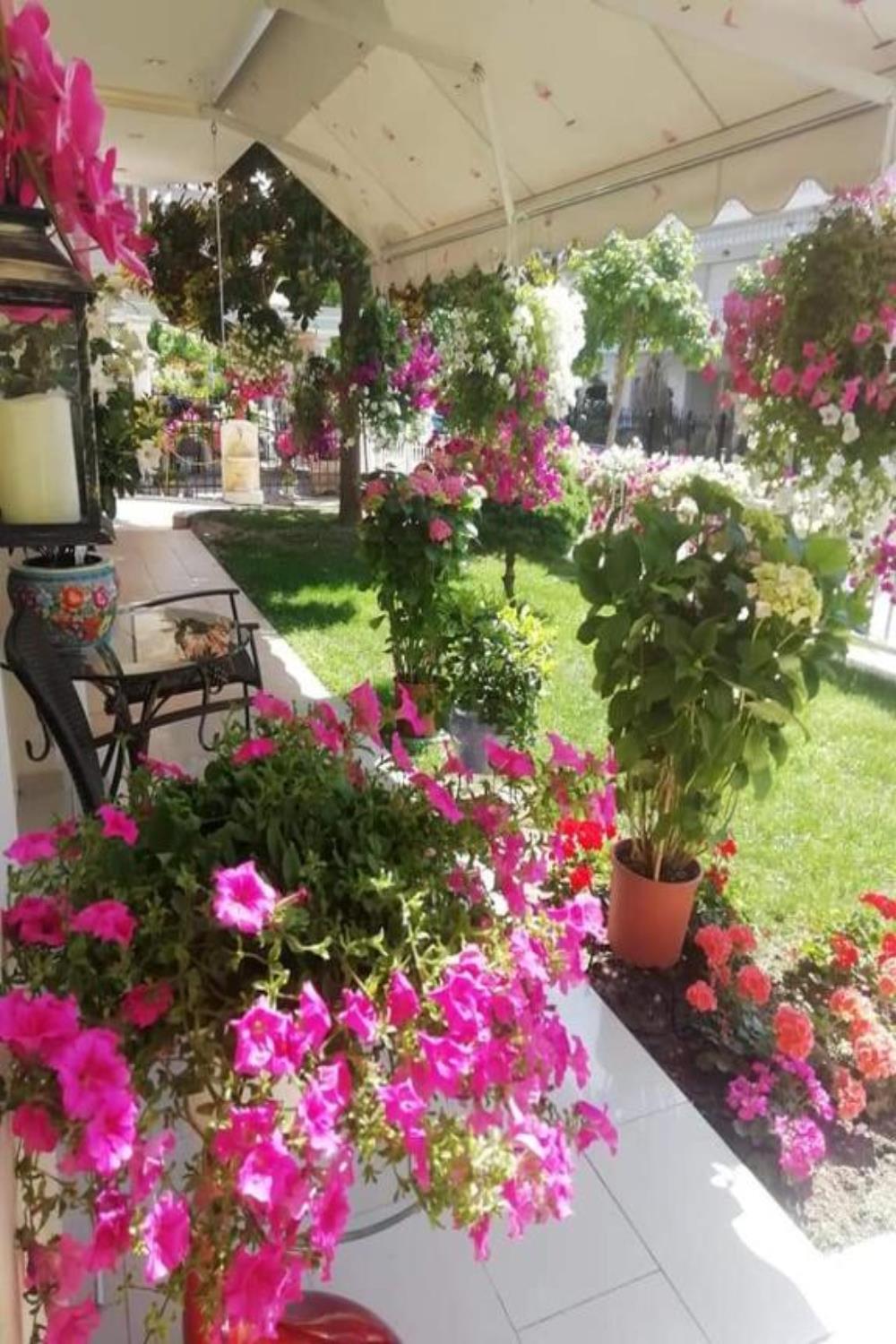 Christina Hotel - Pieria