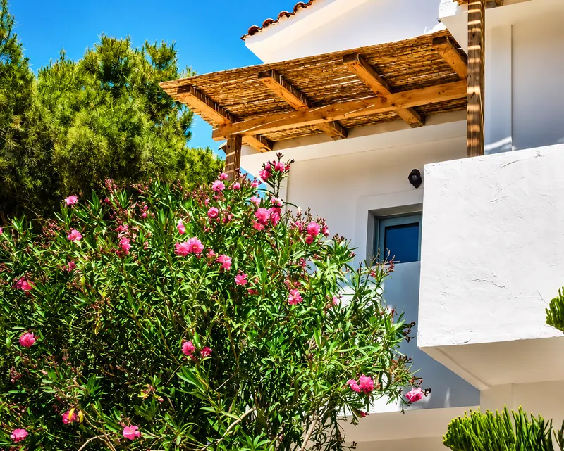 Shellona Rooms & Apartments